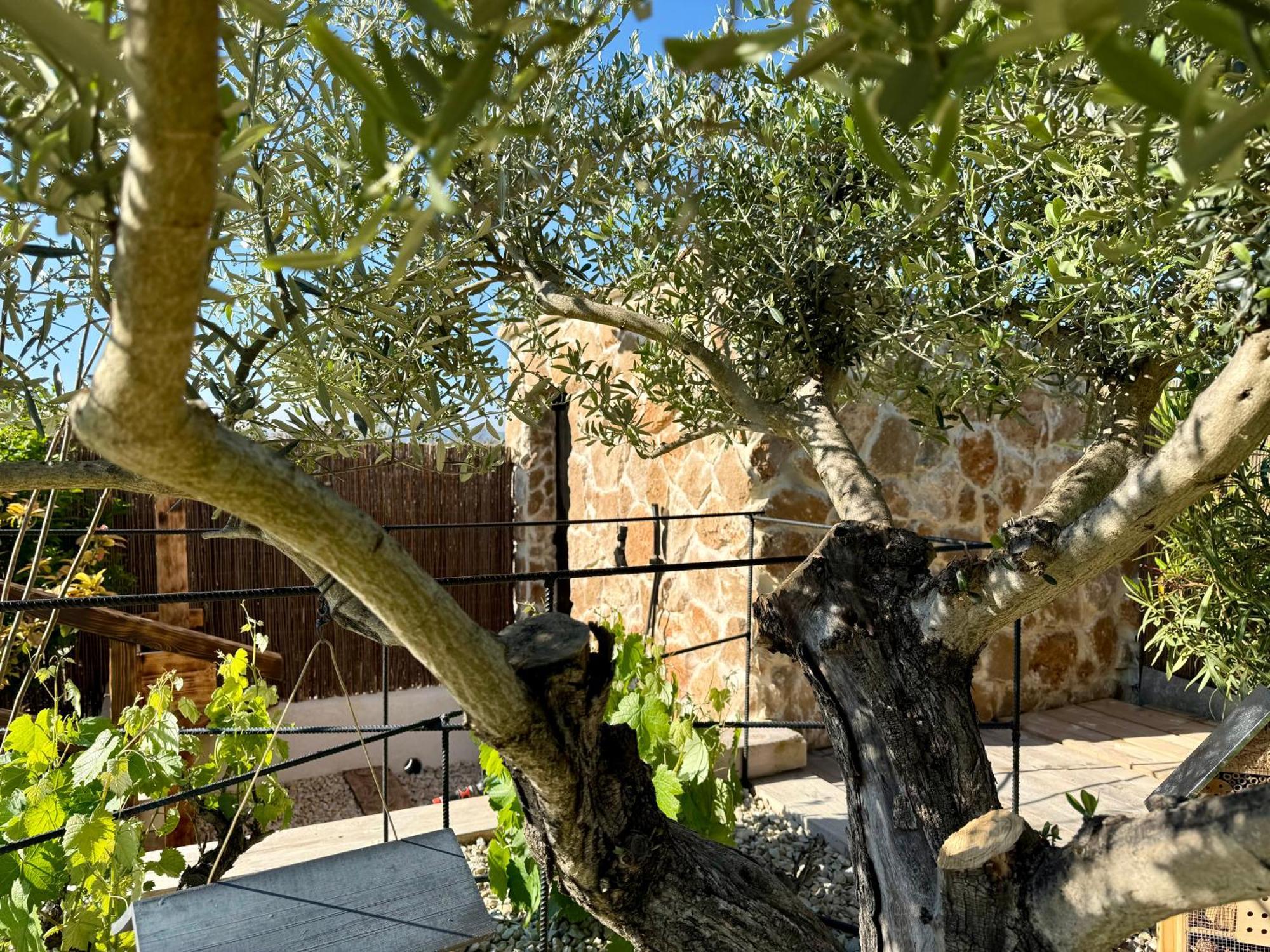 Une Nuit En Luberon Puyvert Luaran gambar